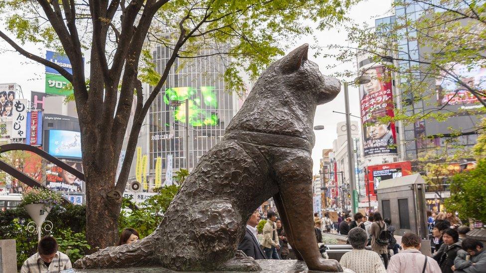 Exploring Shibuya: Tokyo's Iconic Urban Hub