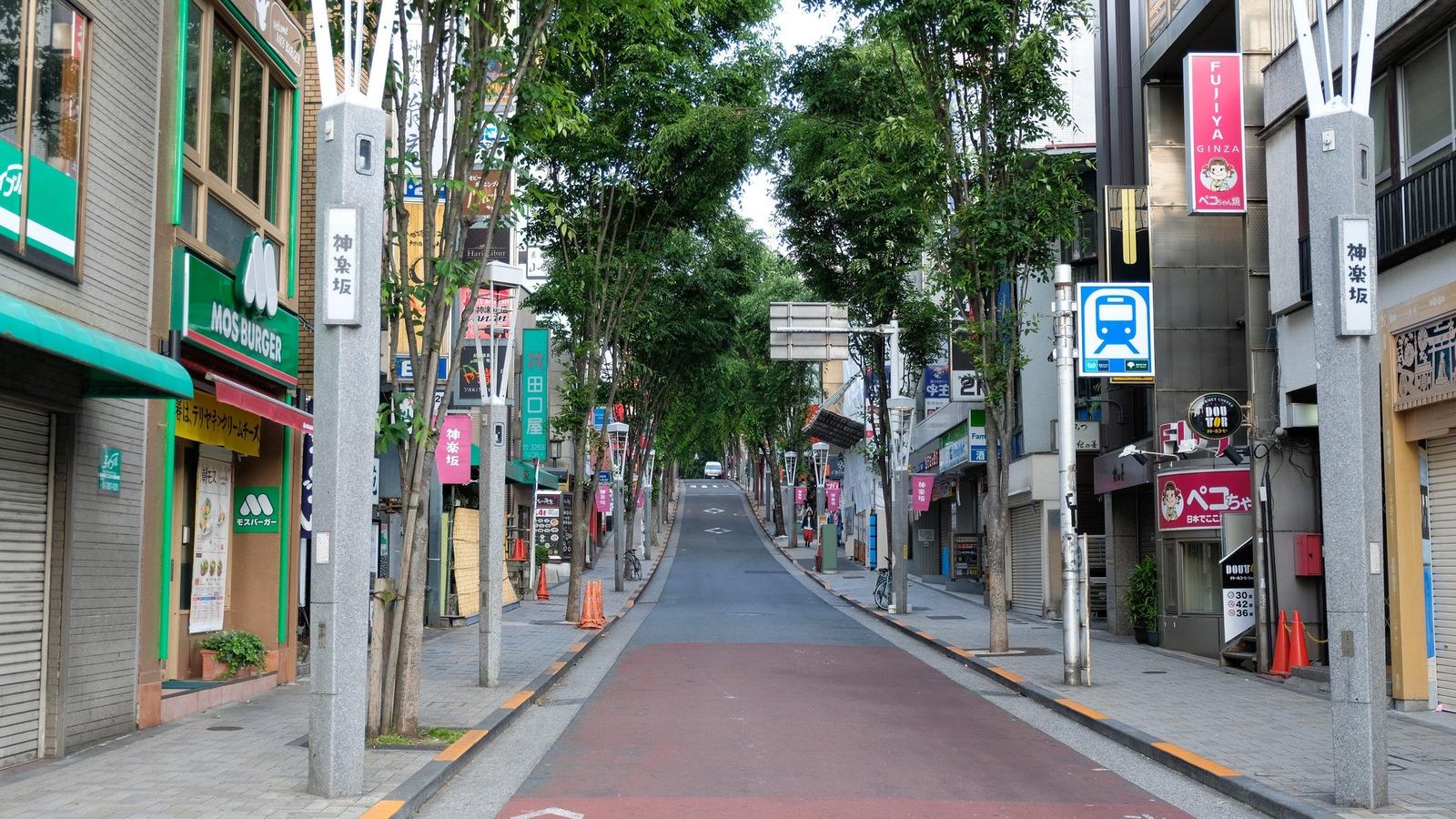 Discover Tokyo’s Hidden Side: Peaceful Escapes Beyond the Neon Lights